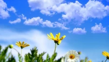 Сончево и топло со температури до 18 степени