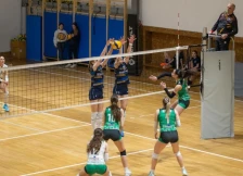 Наковски Волеј против тројца дебитанти ќе го брани трофејот во женскиот одбојкарски Куп