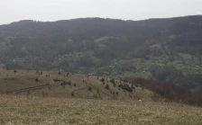 Мицкоски: Луке е стратешки рударски проект со економски бенефит за регионот