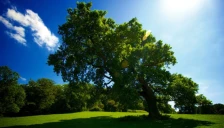 Променливо облачно и посвежо со сончеви периоди