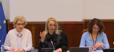Продолжува надзорната расправа за спроведувањето на законите и институционалните мерки за превенција и заштита од семејно насилство