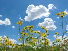 Најстудено изутринава во Берово минус еден степен, највисока температура во Скопје и Велес - осум степени