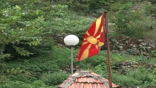 Нов Закон за природа - интервентни тимови за диви животни во населени места