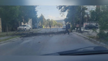 Од силниот ветер падна дрво во Аеродром на улица на Пандил Шишков