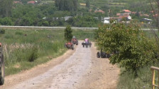 Временските непогоди го преполови родот на земјоделците