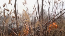 Дваесет годишник уапсен за подметнување на пожарот во Штип