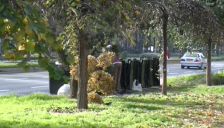 Прво опомени, па потоа казни за фрлање ѓубре после 22 часот - telma.com.mk