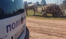 Петмина прилепчани се лишени од слобода за кражба на огревно дрво - telma.com.mk