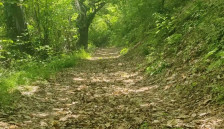 Смртен исход при лов во село Габревци - кривична пријава за „убиство од небрежност“ - telma.com.mk