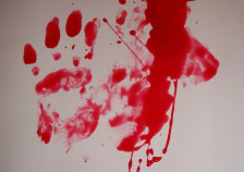 Струмичанец е обвинет за брутален обид за убиство на сопругата - telma.com.mk