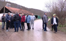 (Видео) Дали АХВ ќе дојде да го собере стадото крави кои повеќе од година нѝ прават проблеми, реагираат мештаните на село Добровница - telma.com.mk