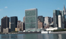 Агенциите на ОН апелираа до Вашингтон да им дозволи на барателите на азил пристап до САД - telma.com.mk