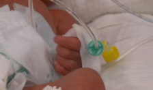 ДСЗИ бара комисија да утврдува дали имало пропусти во лекувањето на починатото новороденче на ГАК - telma.com.mk