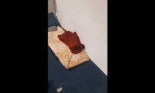 (видео) Расфрлани чаши и остатоци од храна, импровизирани легла- ова е сликата во Министерството за односи меѓу заедниците како што објави Стоилковиќ - telma.com.mk