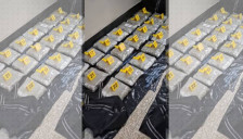 (Видео)Албански државјанин лишен од слобода - пронајдени 62 пакувања марихуана во неговото возило - telma.com.mk