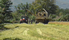 Министерство за земјоделство: Исплатени над 39 милиони денари на 663 оризопроизводители - telma.com.mk