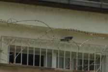 Продолжен притворот за Стафа, адвокатот на „Ѓаволот“ кој му дал 50 илјади евра за домашен притвор - telma.com.mk