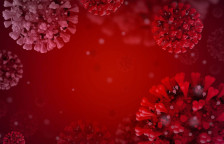 Додека грипот се ближи кон пикот учениците се вратија на настава - telma.com.mk