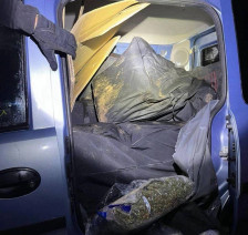 Две лица во притвор за запленетите пет тони марихуана во Србија - telma.com.mk