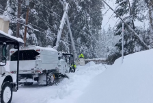 (Видео) Снежното невреме во САД стигна до Флорида, замрзнати игуани паѓаат од дрвјата - telma.com.mk