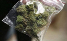 Еден тон марихуана запленети во Јосифово - telma.com.mk