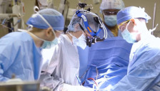 Многумина знаеле за научниот извоз на македонски мозоци во САД - но дали се било законски или е потребна истрага - telma.com.mk