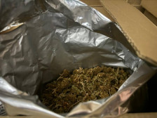 Претреси во објекти за марихуана поврзани со петте тони запленети во Србија - telma.com.mk