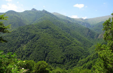 Мртов ловочувар во кочанско - telma.com.mk