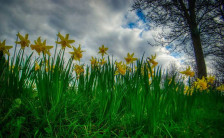 Променливо облачно со сончеви периоди - Временска прогноза за 24.3.2026 - telma.com.mk