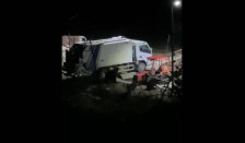 (видео)Мечка забележана во Ростуше, кучињата ја избркаа - telma.com.mk