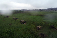 (фото) Реализација на тактички активности во рамки на вежбата „БЛЕСОК 26“ - telma.com.mk