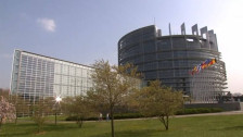 Ана Дангова Хуг влегува во трка за избор на кандидат за судија во Европскиот суд за човекови права - telma.com.mk