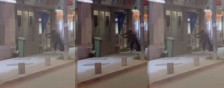 Жена приведена во Ресен при обид за кражба - telma.com.mk