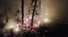 (Фото+Видео) Пожарот во НП „Пелистер“ е локализиран - во текот на ноќта повредени се двајца припадници на единиците кои дејствуваа на терен - telma.com.mk