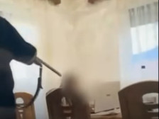 ВИДЕО: МВР го расветли случајот од крушевско каде девојче вперува огнено оружје кон својот брат!