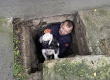 Пожарникарите спасија куче кое паднало во шахта во двор на основно училиште во Старо Нагоричане