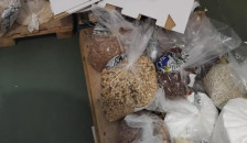 АХВ заплени и уништи 37 тони храна – грав, леќа, ореви, лешници со изминат рок пред 2 години