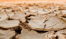 Англија се соочува со најлошата суша во последните децении, се преземаат мерки