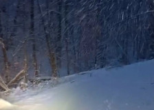 Утре снег и засилен ветер – од недела стабилно време со високи температури