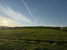 Сончево со умерена облачност